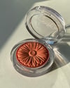 CLINIQUE Cheek Pop - black honey pop