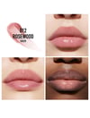 DIOR addict lip maximizer #012