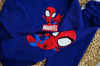 Spiderman Baskılı Üç İplik Şardonsuz Erkek Çocuk Takım