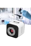 4k-mikroskop-kamera-uhd-30fps-sony-imx-7bc-fd.jpg