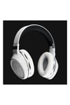 fps-bluetooth-flatpanel-powered-headsp--4189-.jpg