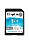 kingston-sdg31tb-1-tb-170-90mbs-sdxc-c-a5-b9a.jpg
