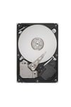seagate-1-373-10.jpg