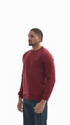 Polarlı Sweatshirt
