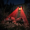 PANTHER PT-2972 SOLAR LED DUVAR LAMBASI