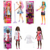 BARBİE DVF50 KARİYER BEBEKLERİ 3+