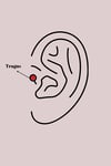 316l Çelik Gümüş Renk Zirkon Taş Detay Pembe Kalp İşleme Tragus Piercing