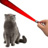 Çarşı Point®  3 Fonksiyonlu Kırmızı Beyaz Işıklı Led Lazer Kedi Köpek Oyuncak Anahtarlık