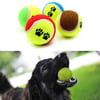 Çarşı Point®  3lü Renkli Desenli Tenis Topu Kedi Köpek Oyuncağı