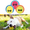 Çarşı Point®  3lü Renkli Desenli Tenis Topu Kedi Köpek Oyuncağı