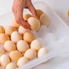 Çarşı Point® 30lu Yumurta Saklama Kabı