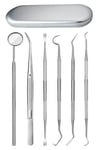 Çarşı Point® 6 Parça Kutulu Ağız Bakımı Diş Bakım Seti Ağız Hijyen Takımı