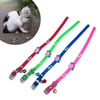 Çarşı Point® Çıngıraklı Zilli Sevimli Renkli Slikon Kedi Köpek Boyun Tasması