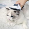 Çarşı Point® Kedi Köpek Tüy Toplayıcı Kendini Temizleyebilen Ergonomik Rahat Evcil Hayvan Tarağı Gri