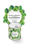 Çarşı Point® Konserve Bahçem Evde Konservede İri Yapraklı Kıvırcık Yetiştirme Kiti