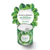 Çarşı Point® Konserve Bahçem Evde Konservede İri Yapraklı Roka Yetiştirme Kiti