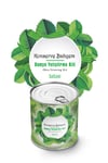 Çarşı Point® Konserve Bahçem Evde Konservede Sultani Bamya Yetiştirme Kiti