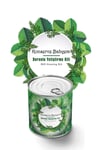 Çarşı Point® Konserve Bahçem Evde Konservede Dereotu Yetiştirme Kiti Aparatı