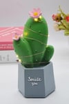 Çarşı Point® Led Işıklı Kaktüs Biblo Ev Dekorasyon ve Hediyelik Eşya Led Aydınlatma