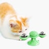 Çarşı Point® Pet Malzemeleri Vantuzlu Fırıldak Toplu Dönen Şeffaf Depo Tasarım İnteraktif Kedi Oyuncağı