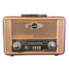 Çarşı Point® Retro, Nostaljik, Ahşap Tasarım Bluetooth Hoparlörlü, Şarjlı, Taşınabilir Otantik Tasarımlı FM/AM Destekli Radyo NS8098