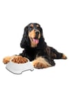 Çarşı Point® Silikon Kaydırmaz Taban Plastik Kedi ve Köpek Mama ve Su Kabı 2 L