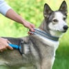 Çarşı PointPlastik Saplı Metal Kedi Köpek Bakım Kıtık Tüy Topak Açıcı Tarak