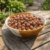 Çarşı PointYuvarlak Çift Renkli Plastik Rattan Ekmek ve Meyve Sepeti - Çok Amaçlı Banyo ve Mutfak Düzenleyici - Yıkanabilir Tezgâh Üstü Organizer