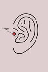 Mey İthalat® 316L Çelik Gümüş Renk Dal Model Zirkon Taş Detaylı Tragus Piercing