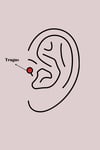 Mey İthalat® 316L Çelik Gümüş Renk Pembe Kurdele Zirkon Taş Detay Tragus Piercing