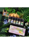 Uçucu Yağ Saf 3 LÜ Set Karışık Başlangıç Paketi Aroma Terapi