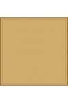 Belli Twill İpek Eşarp 20264055DTM 38