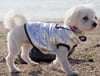 GÜMÜŞ Su Geçirmez Kapitone Köpek Montu – Gezdirme Halkalı