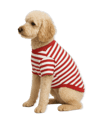 Kırmızı Beyaz Çizgili Köpek Tshirtü