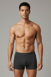 Antrasit Boxer