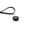 Eksantrik Seti Connect 1.8Tdcı 02> Skf Bilya Gates Kayış Gates K015541XS