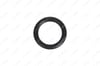 Emme Manifold Oringi C.Max Focus Dw6 206 307 Nıfea 19699