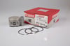 Piston Segman 76.00 Zetec Escort Clx1.6 Zetec 96 Yenmak 31-03769-050