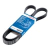 V Kayışı Transit V.363 2.0Ecoblue 19> Bosch 1987946071