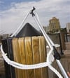 Shurhold Dock-A-Reni