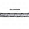 Ryuji Ares X 270 Cm 9-45 Gr Spin Olta Kamışı