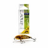 Sea Horse Jolly Bal Arısı 3.8 Cm 2.5 Gr LRF Maket Yem