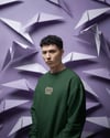 Erkek Scottish Fold Kedisi Desenli Sweatshirt – Minimal Göğüs Baskılı, Unisex Rahat Kalıp