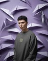 Erkek Scottish Fold Kedisi Desenli Sweatshirt – Minimal Göğüs Baskılı, Unisex Rahat Kalıp
