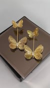 Butterfly Küpe