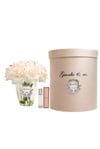 Guerlie&co. Krem Pembe 11 Gül Gümüş