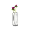 Philippi Float Dikey Vazo 26 cm 