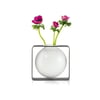 Philippi Float Yuvarlak Vazo 18 cm 
