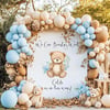 Ayıcıklı Baby Shower Organizasyon Paketi