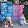 Boy or Girl Cinsiyet Belirleme Organizasyonu
